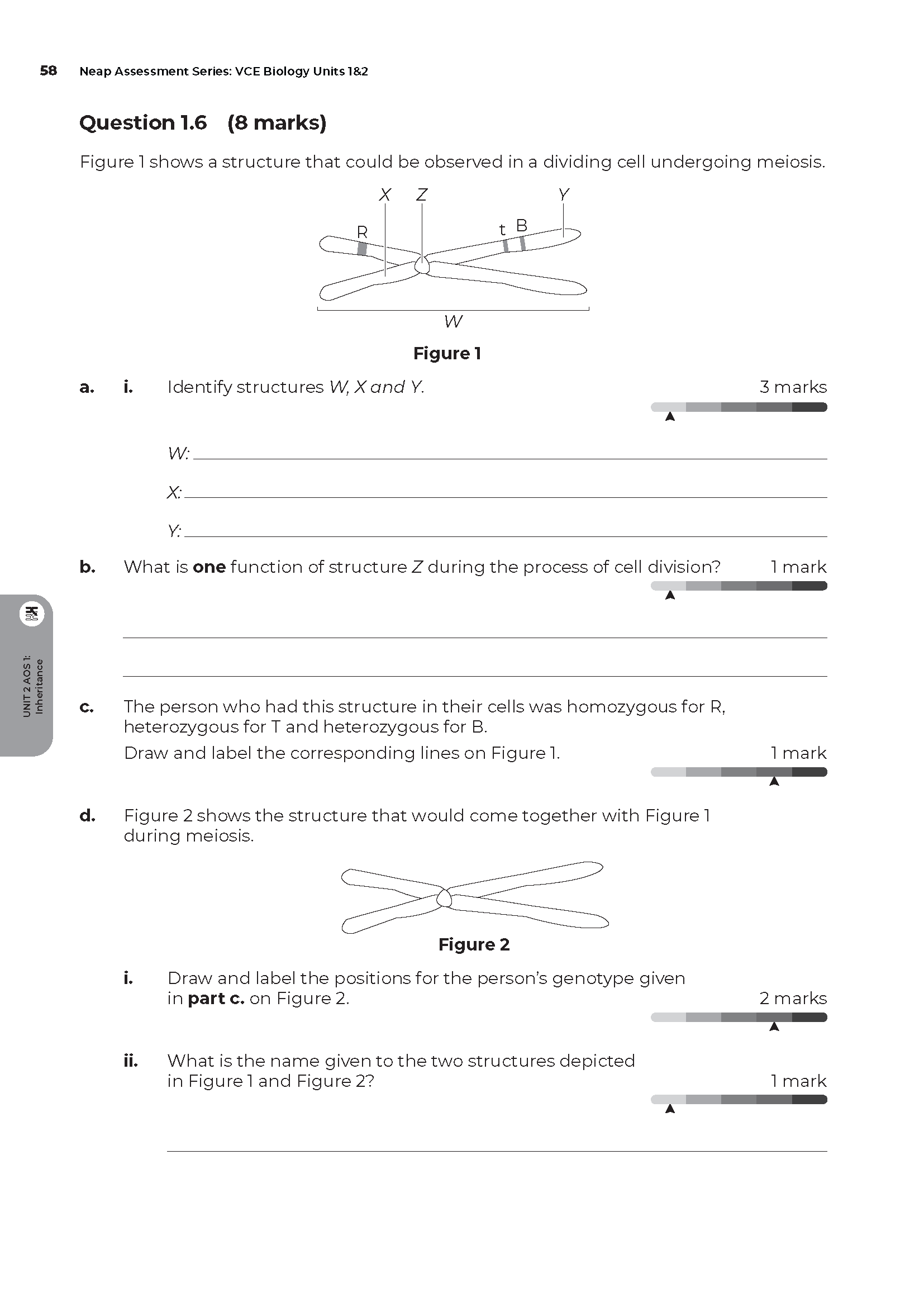 Neap Assessment Series: VCE Biology Units 1&2