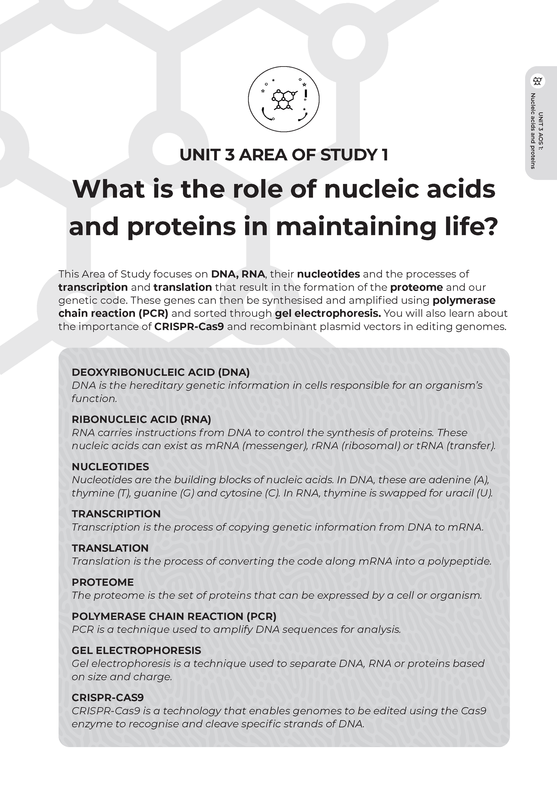 Neap Assessment Series: VCE Biology Units 3&4