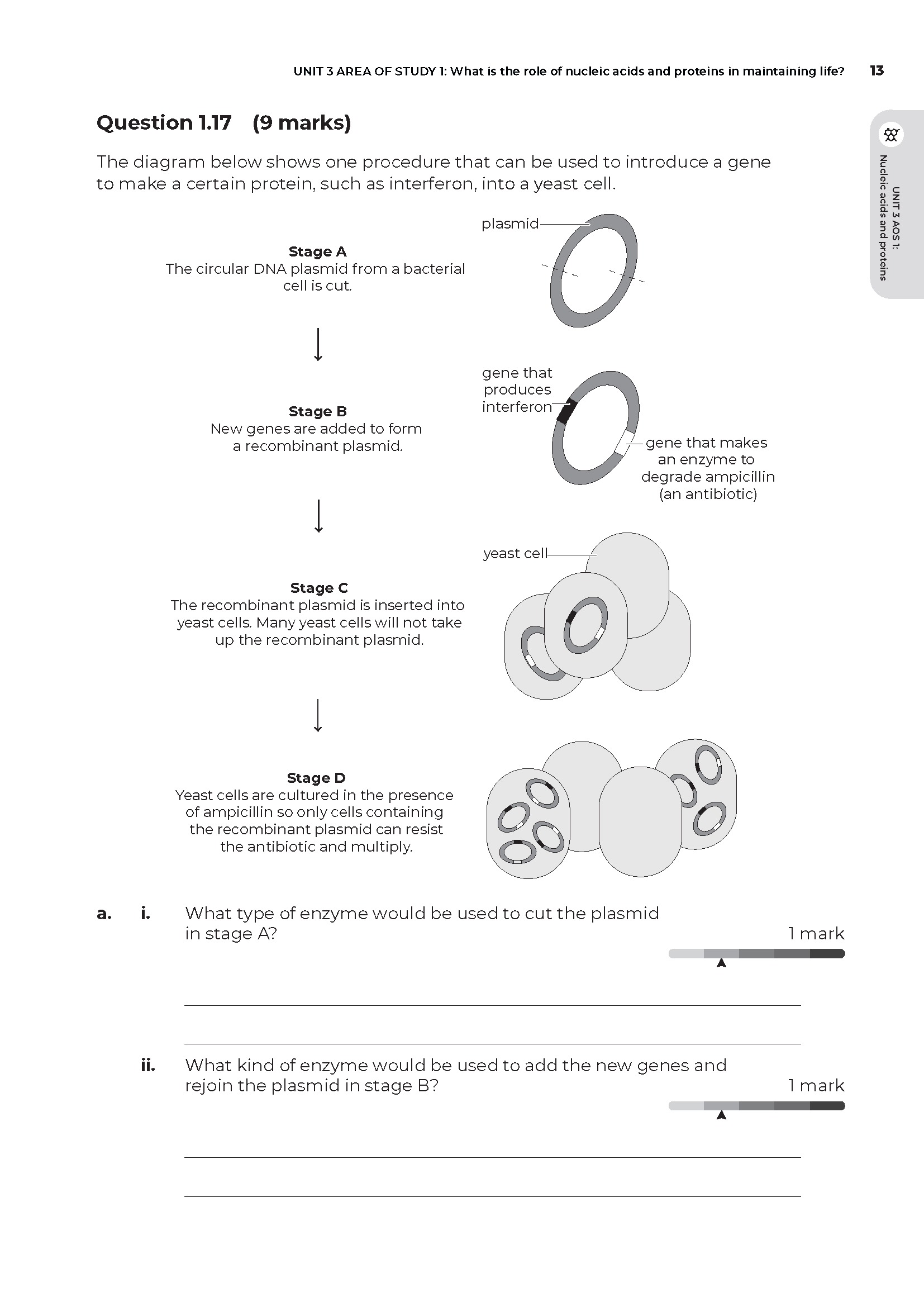 Neap Assessment Series: VCE Biology Units 3&4