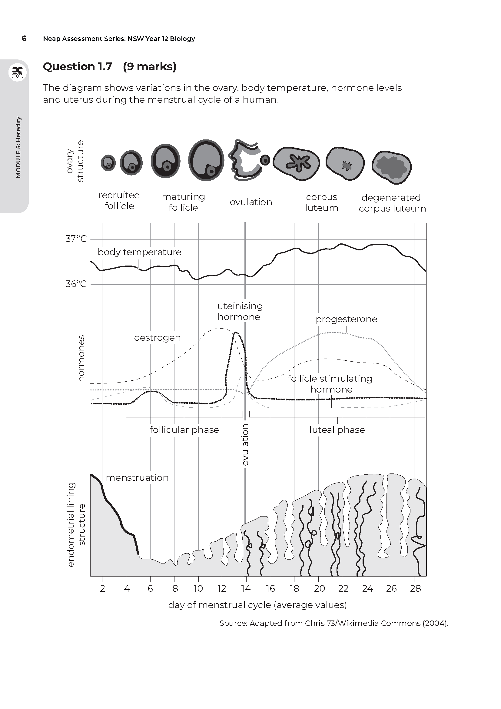 Neap Assessment Series: NSW Year 12 Biology